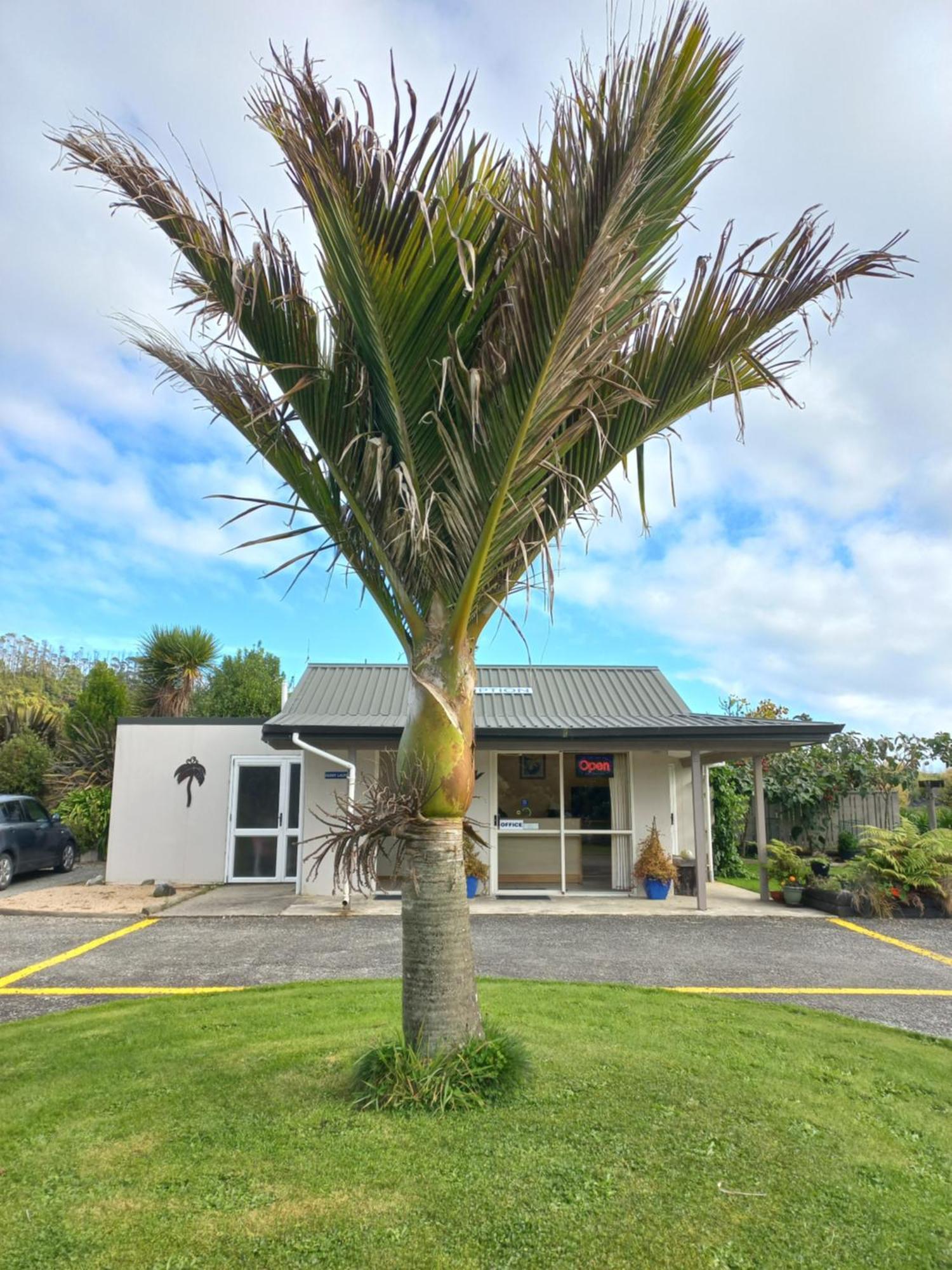 Karamea River Motels エクステリア 写真